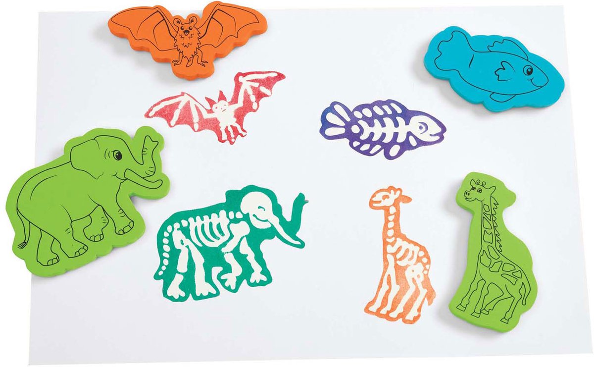 Colorations - Dierenskeletten Stempels, 15st.