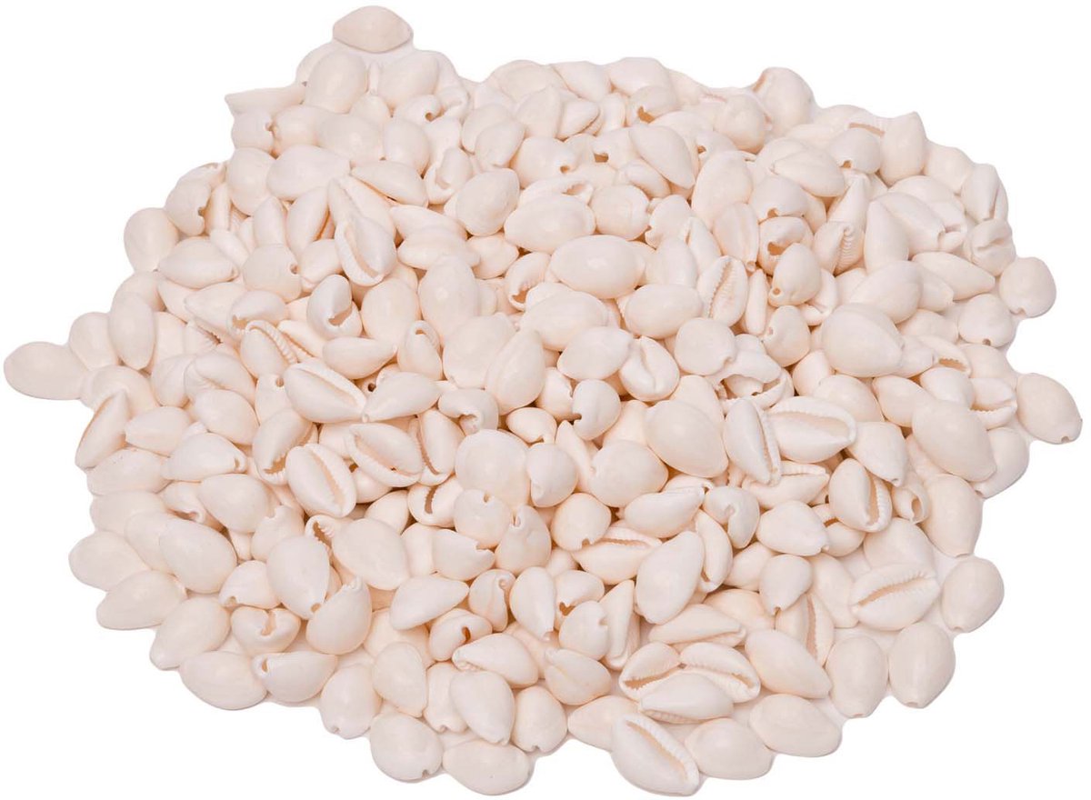 Colorations zeeschelpen knutselmateriaal kauri 300g decoratie.