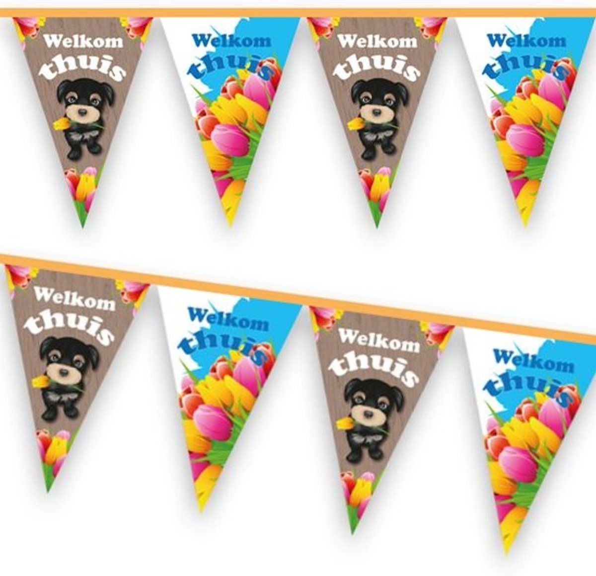   Welkom Thuis hond 6 meter