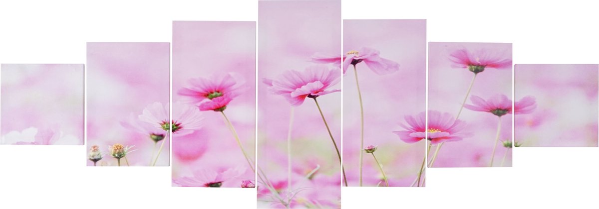Cosmo Casa Canvas Schilderij - Wandafbeelding - Spanraam - Foto Kunstafdruk - 7 stuks - 140x50cm - Bloemen