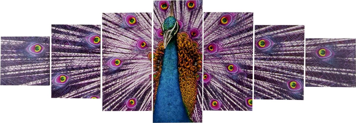 Cosmo Casa Canvas Schilderij - Wandafbeelding - Spanraam - Foto Kunstafdruk - 7 stuks - 140x50cm - Pauw