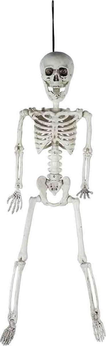 Skelet Hangend Natuur 14x7xh60cm Kunststof
