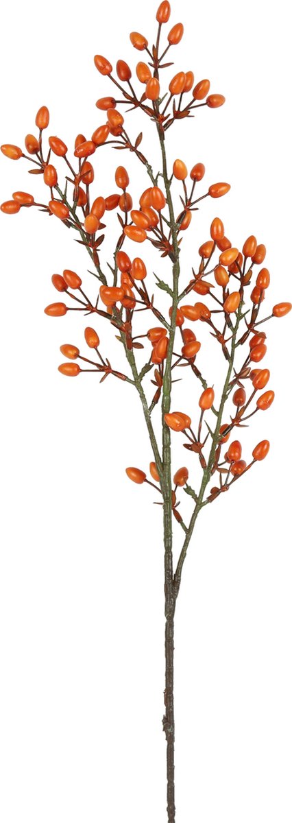   Kunstbes Rozenbottel oranje