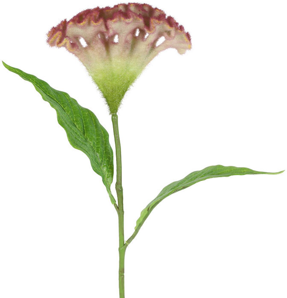 Countryfield Kunstbloem Celosia l.paars