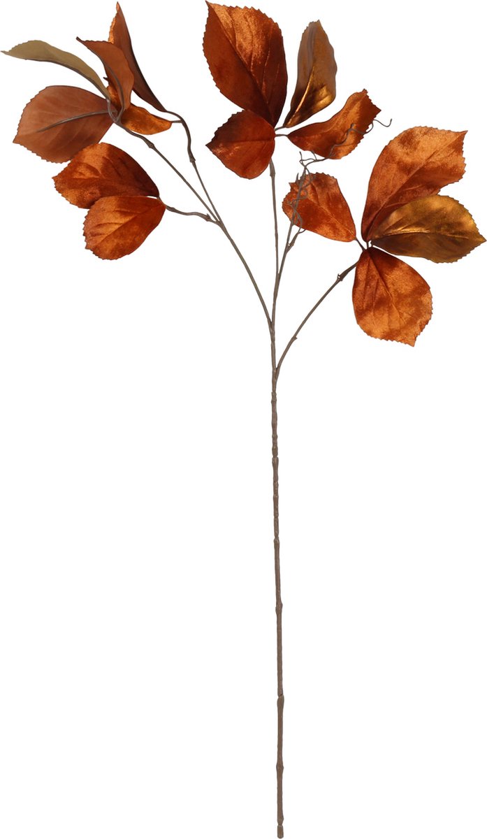 Countryfield Kunstbloem Parthenocissus S bruin 80cm.