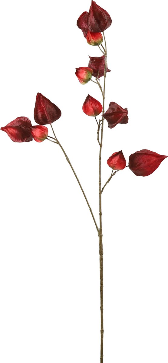Countryfield Kunstbloem Physalis bordeaux 95cm.