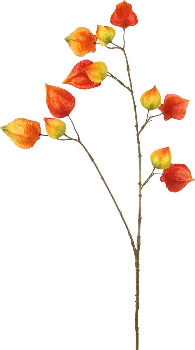 Countryfield Kunsttak Physalis vuur oranje