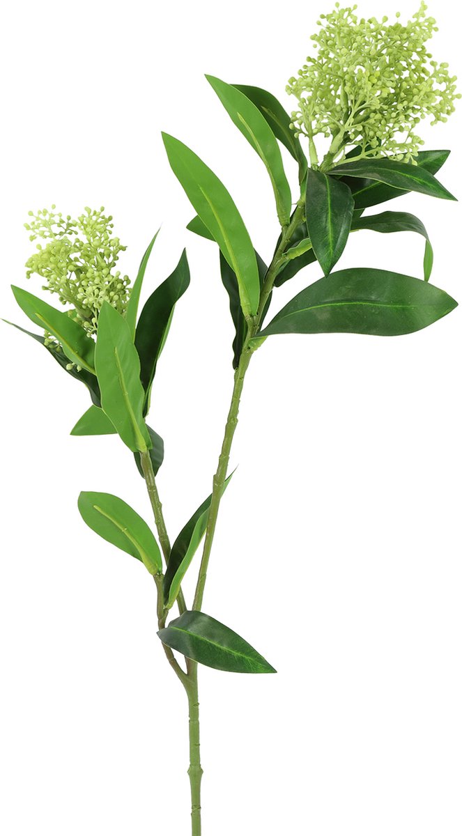 Countryfield kunstbloem Skimmia groen decoratie 72cm.