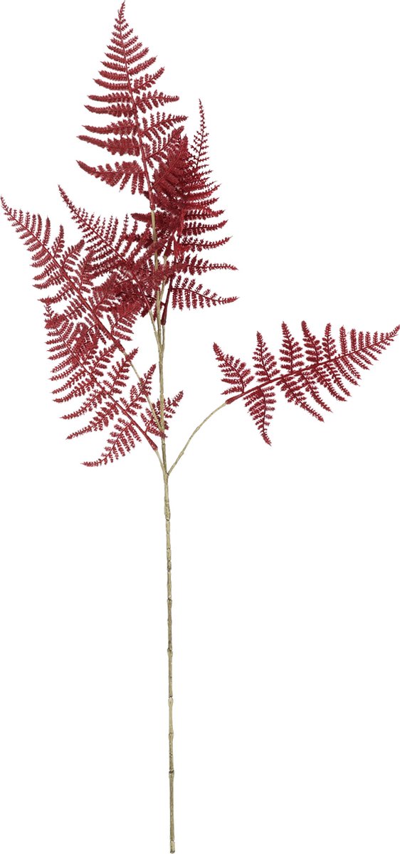   kunstbloem speelgoed Asparagus S bordeaux 85cm decoratief.