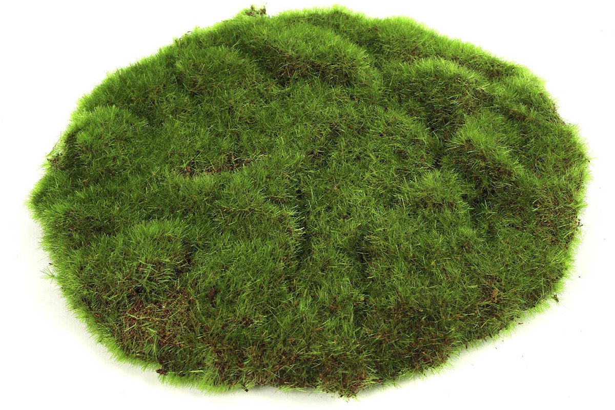 Countryfield moschijf educatief speelgoed groen 22x22x2cm karton.