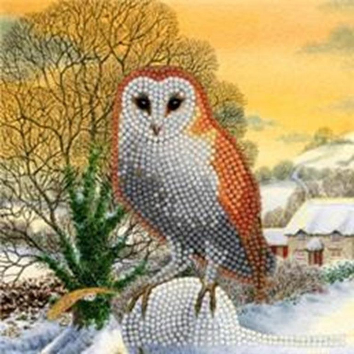Crystal Card® Winter Owl (18x18cm)