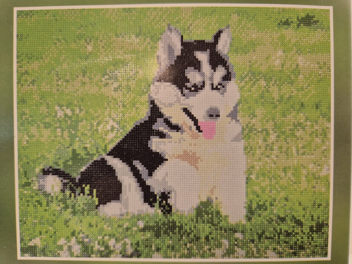 Diamond Painting - Husky puppy - 40x50 cm