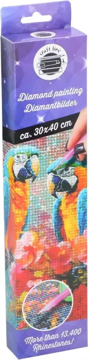 Diamond painting - 30x40cm