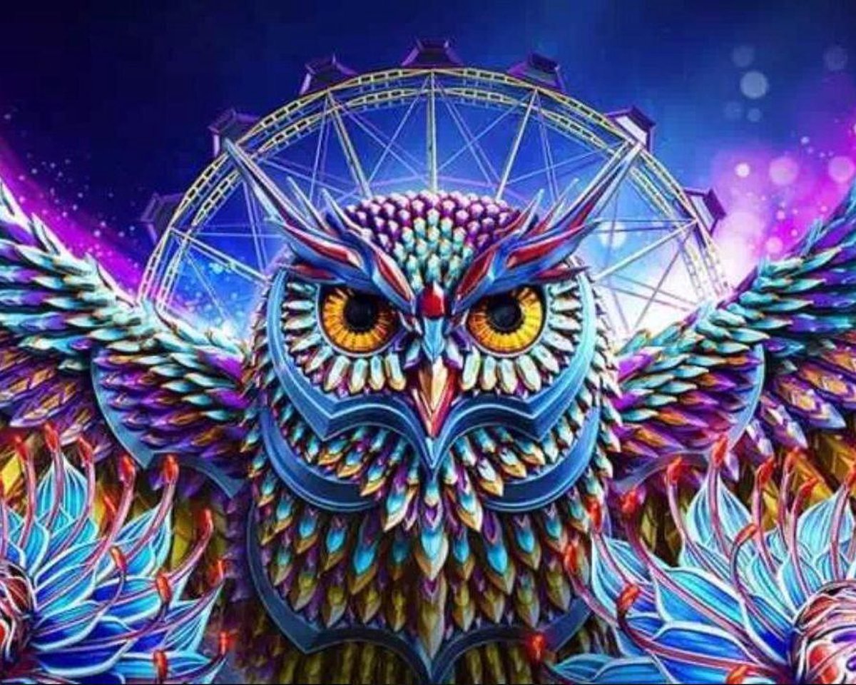 Diamond Painting - 40x50cm - Uil - Vierkante Stenen - Volledige Bedekking