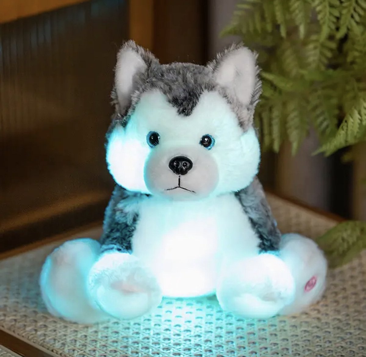 Creasowl® Husky knuffel met licht - Knuffelhond 30 cm - Pluche speelgoed hond - Teddybeer met verlichtende functie - Comfortabel Slapen - Nachtlamp knuffel