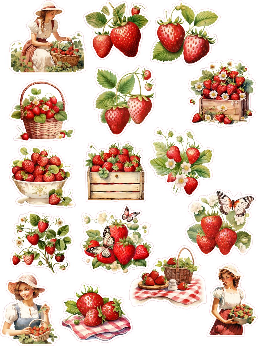 Bullet Journal Stickers - Planner Agenda Stickers - Vintage strawberry stickers - 16 die cut stickers - eten stickers - Scrapbook stickers - Ephemera Deco stickers - volwassenen en kinderen