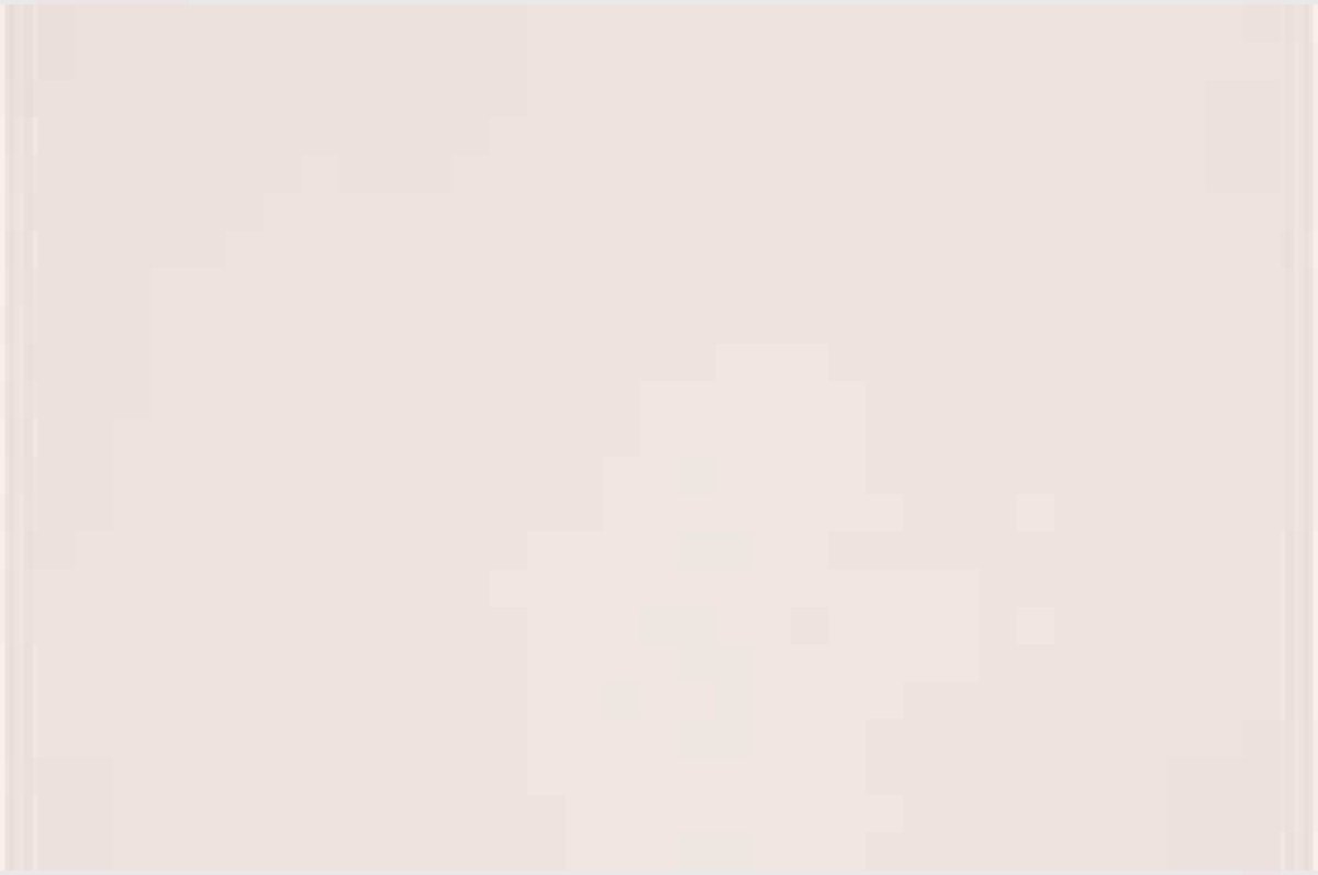 Frans karton - Lily - A4 - 21x29,7cm - 160 grams - Creotime - 1 vel