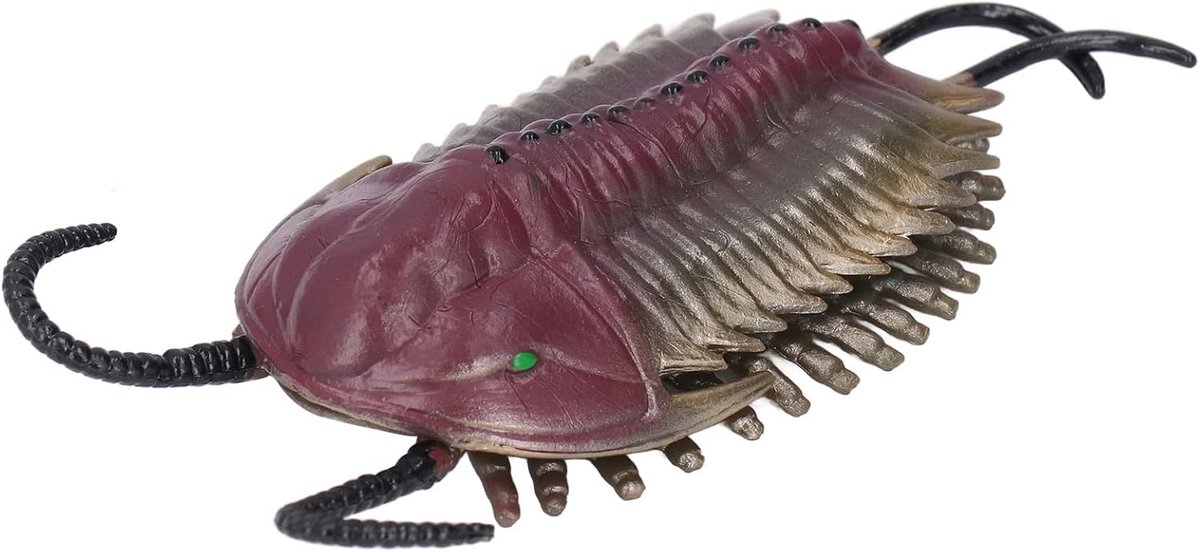 Crrynuo 1 Stuk - Trilobiet Fossiel Model - Realistisch Prehistorisch Zeedier - Educatief Speelgoed Voor Kinderen - PVC Dinosaurus Tijdperk Decoratie