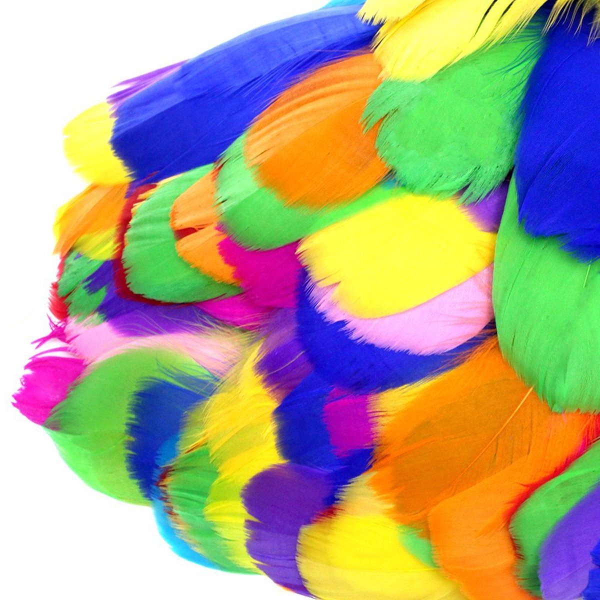 Crrynuo 60-Stuks Gekleurde Veren Set - Handgemaakte Decoratieveren Voor Knutselen - Veelzijdig Voor Feesten En Creatieve Projecten