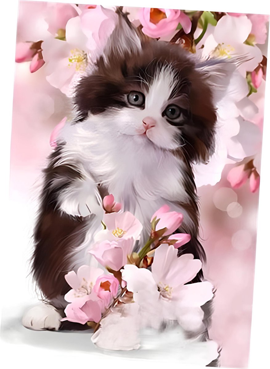 Crynuo, DIY diamantschilderij vol schattige katten, zonder lijst, 30x40cm