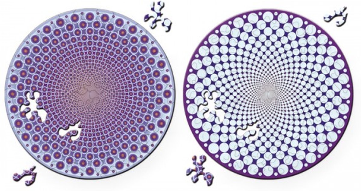 Dubbelzijdige Puzzel in hout Points - 88 stukjes