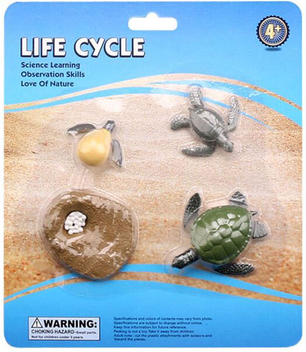 Cycplus Levenscyclus Schildpad Speelfiguren Set