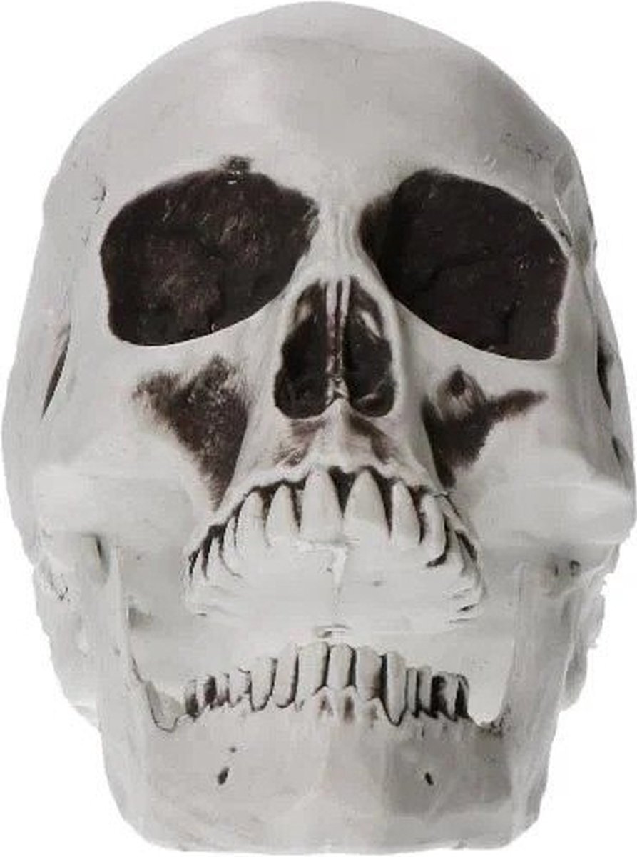 Schedel 18cm - Halloween
