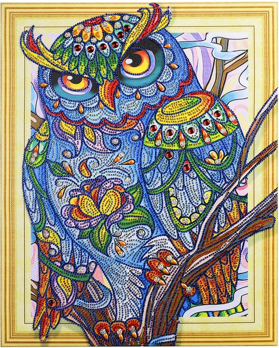 Diamond painting op canvas - gespannen doek - met speciale vormen van steentjes - 40 x 50 cm - Prachtige Kleurrijke Uil