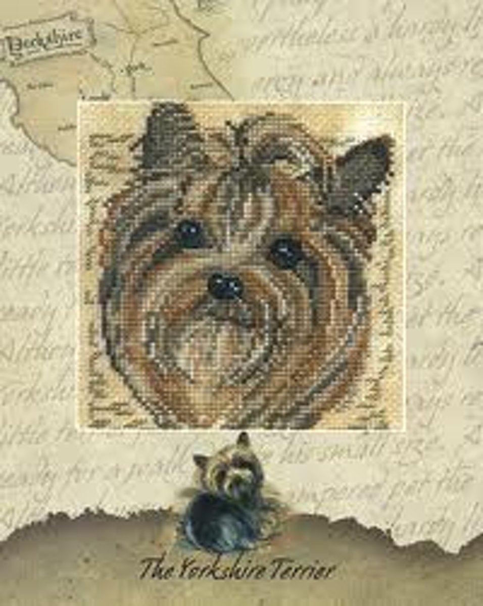 Borduurpakket    the yorkshire terrier