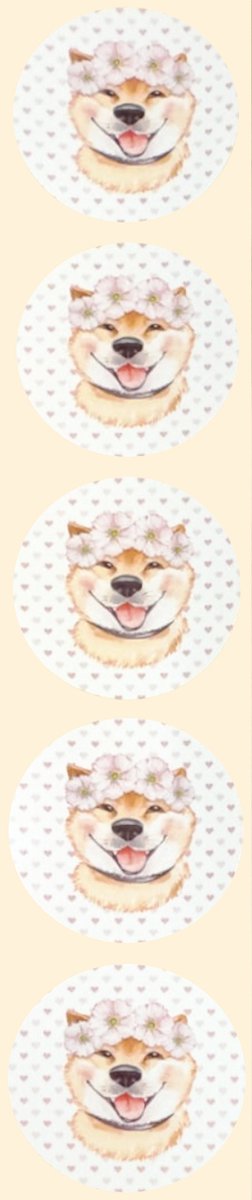 Stickers - Keeshond met bloemen - Rond - 4cm - 100st. - DBLS027
