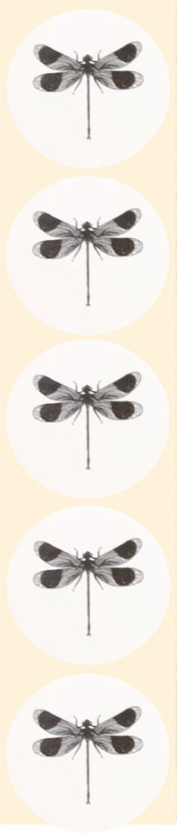 Stickers - Libelle - Zwart, wit - Rond - 4cm - 100st. - DBLS052