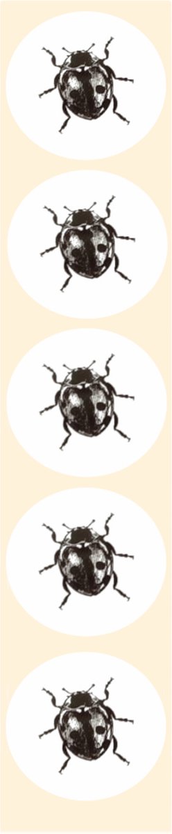 Stickers - Lieveheersbeestje - Zwart/wit - Rond - 4cm - 100st. - DBLS004