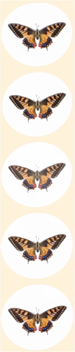 Stickers - Vlinder - Rond - 4cm - 100st. - DBLS031