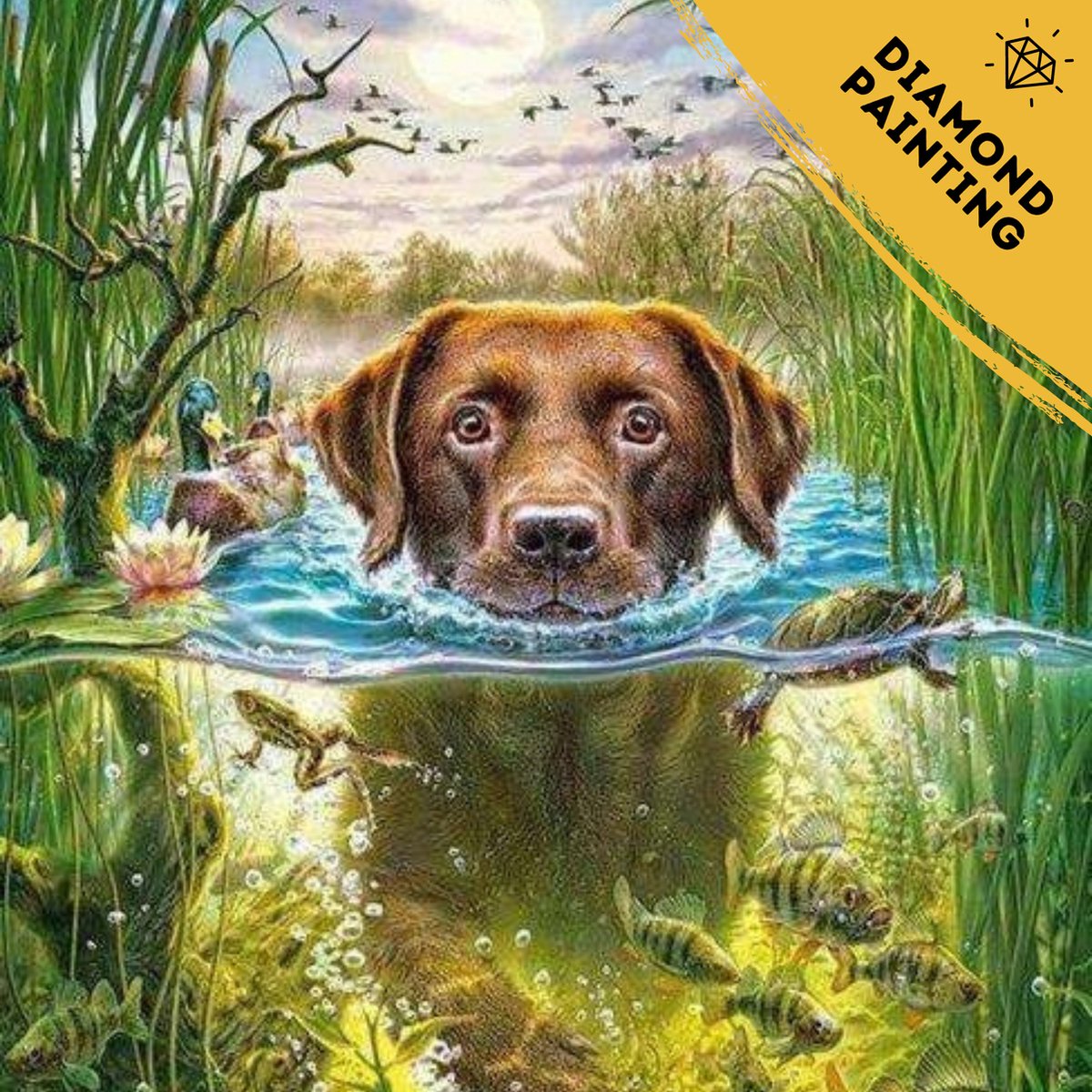 De Hobby Planeet Diamond Painting Dieren 30x40cm - Diamond Painting Volwassenen - Kinderen - Pakket Volledig