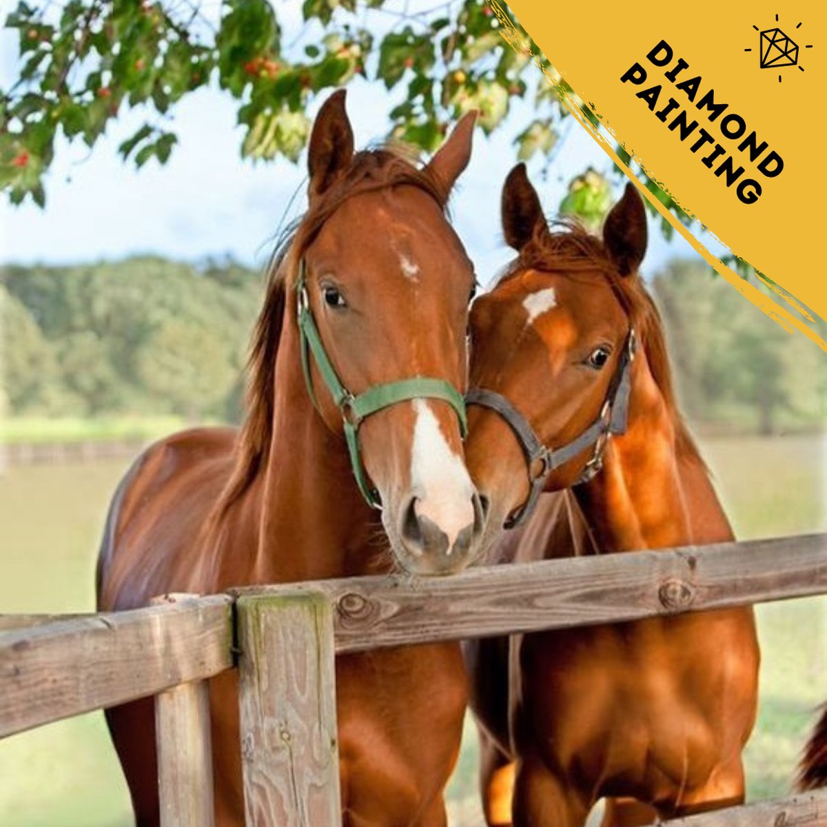 Diamond Painting Paarden - 30x40cm