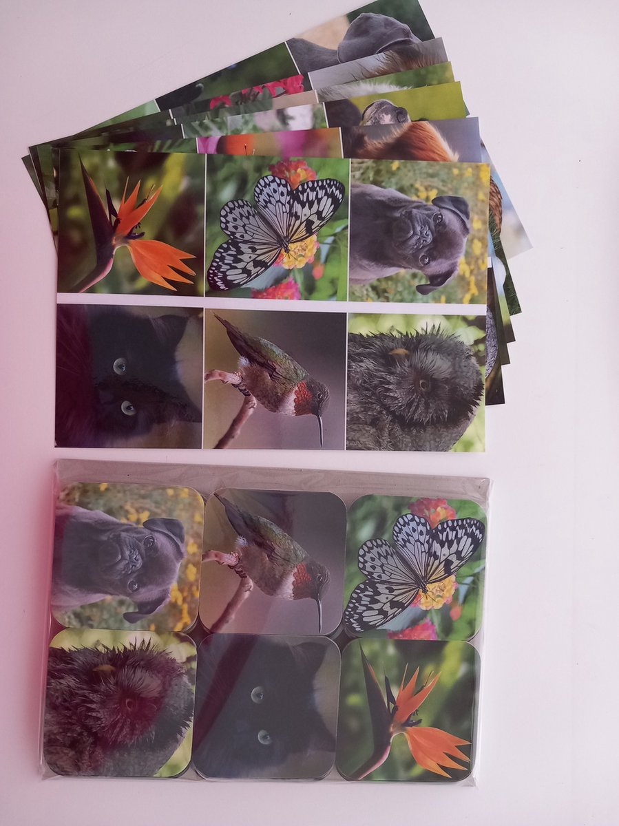 De Spellerie - Ja! Ik heb em Flora en Fauna Variant B- Speciaal voor mensen met dementie-spel-geheugen-senioren