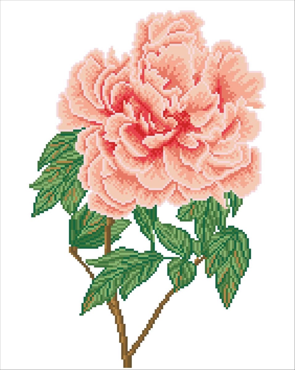 DD9.052  ® - 40x50cm Rose Blush