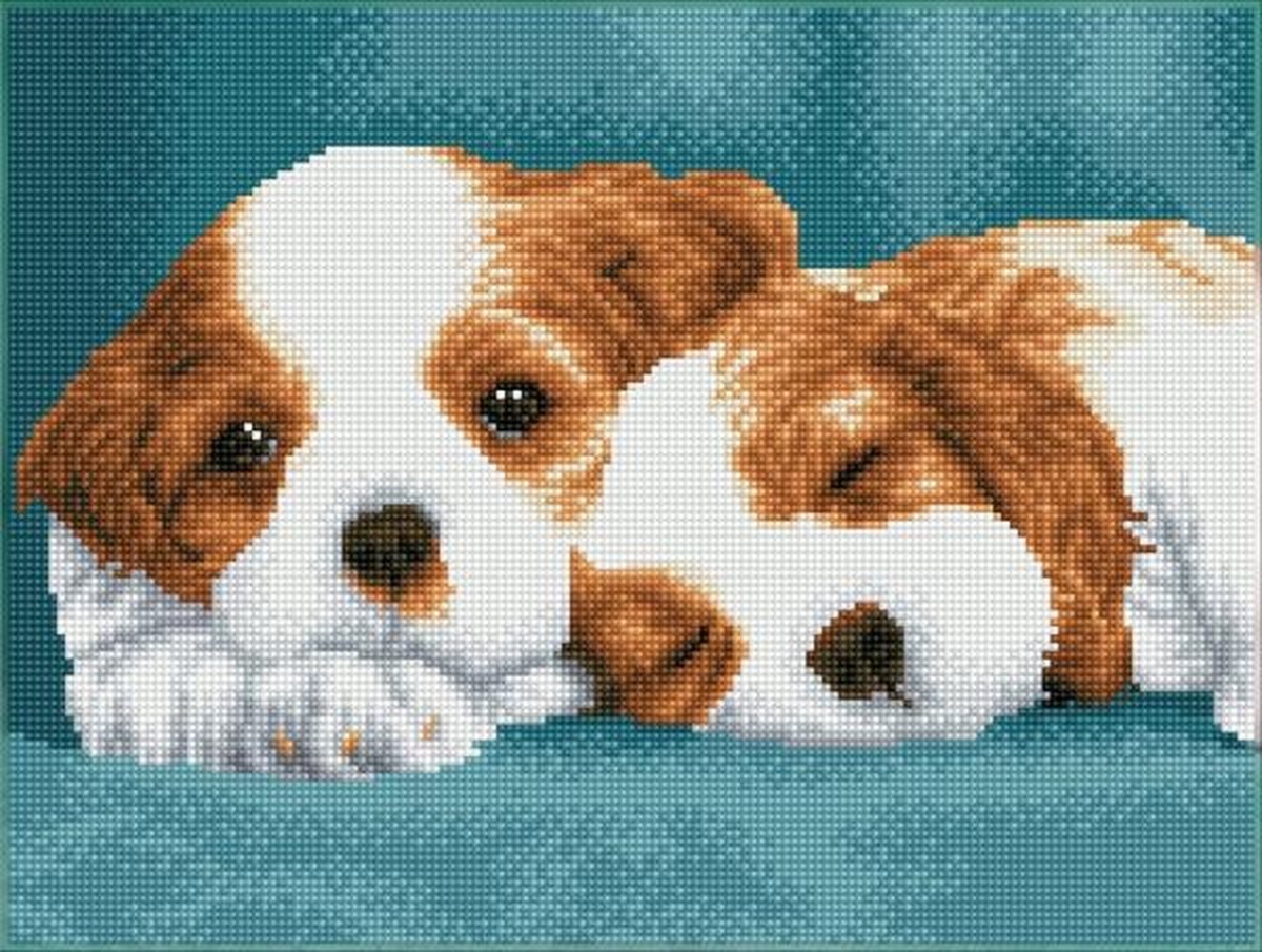 Diamond Dotz � � Diamond painting: Little Champs: 31x41 cm