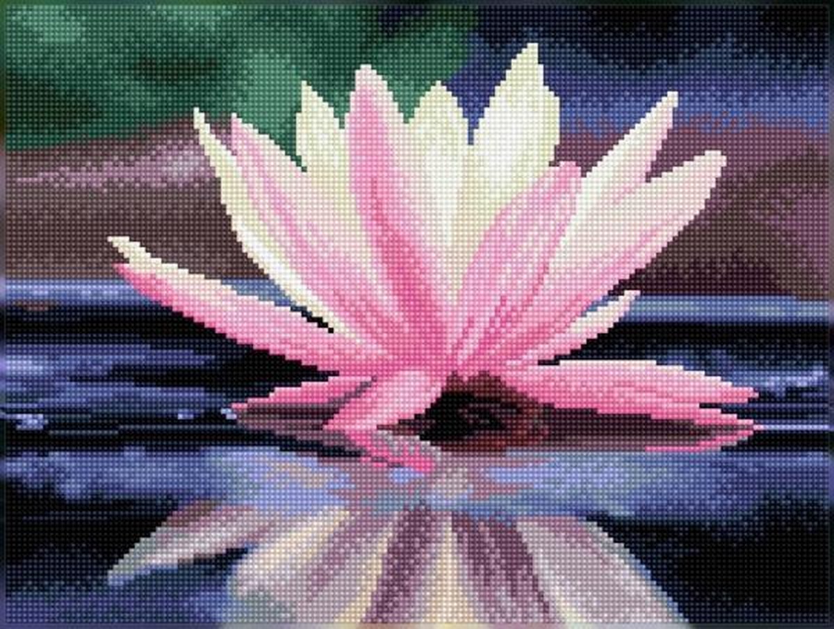 Diamond Dotz � � Diamond painting: Reflections: 31x41 cm