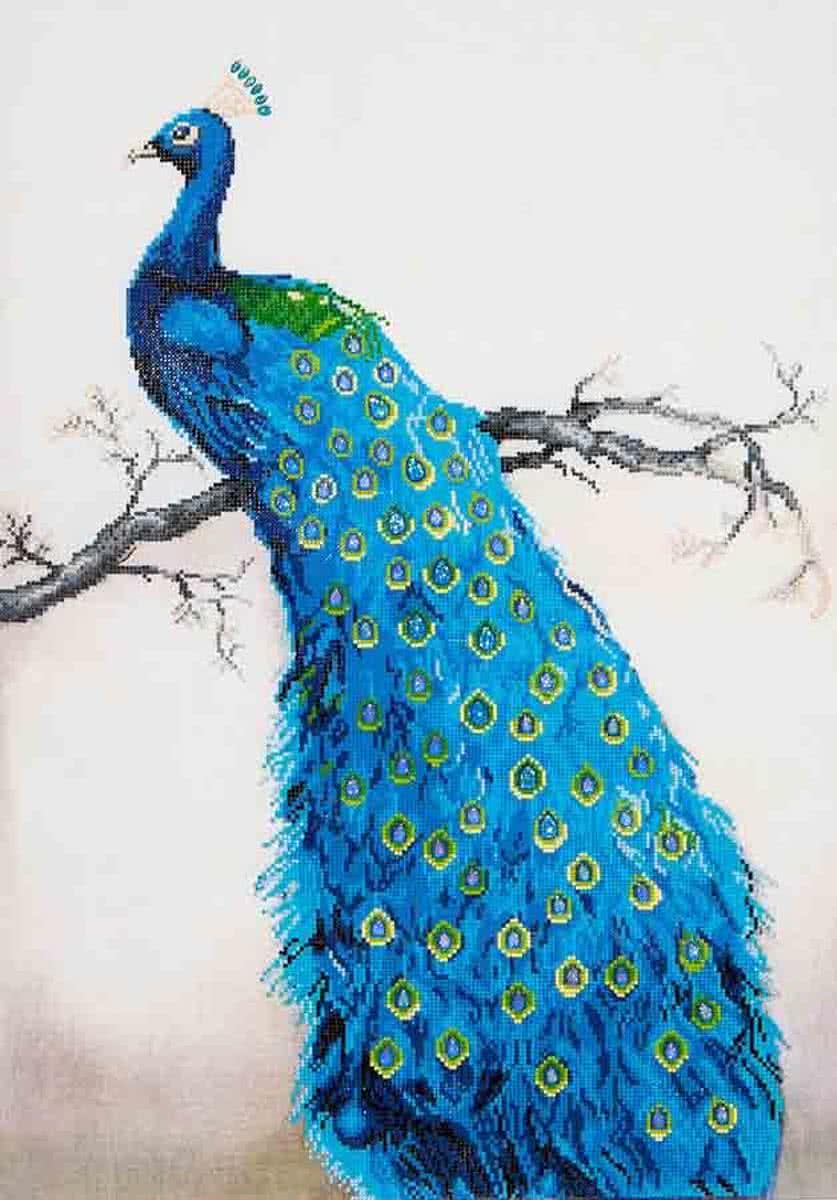 Needle Art Blue Peacock Diamond Dotz 60x84 cm
