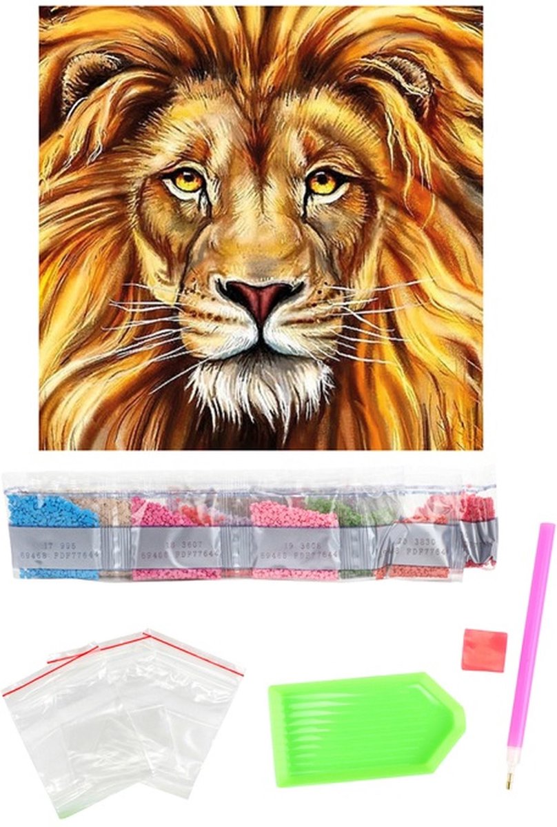 Diamond painting - Kussenhoes 40x40cm - Leeuw