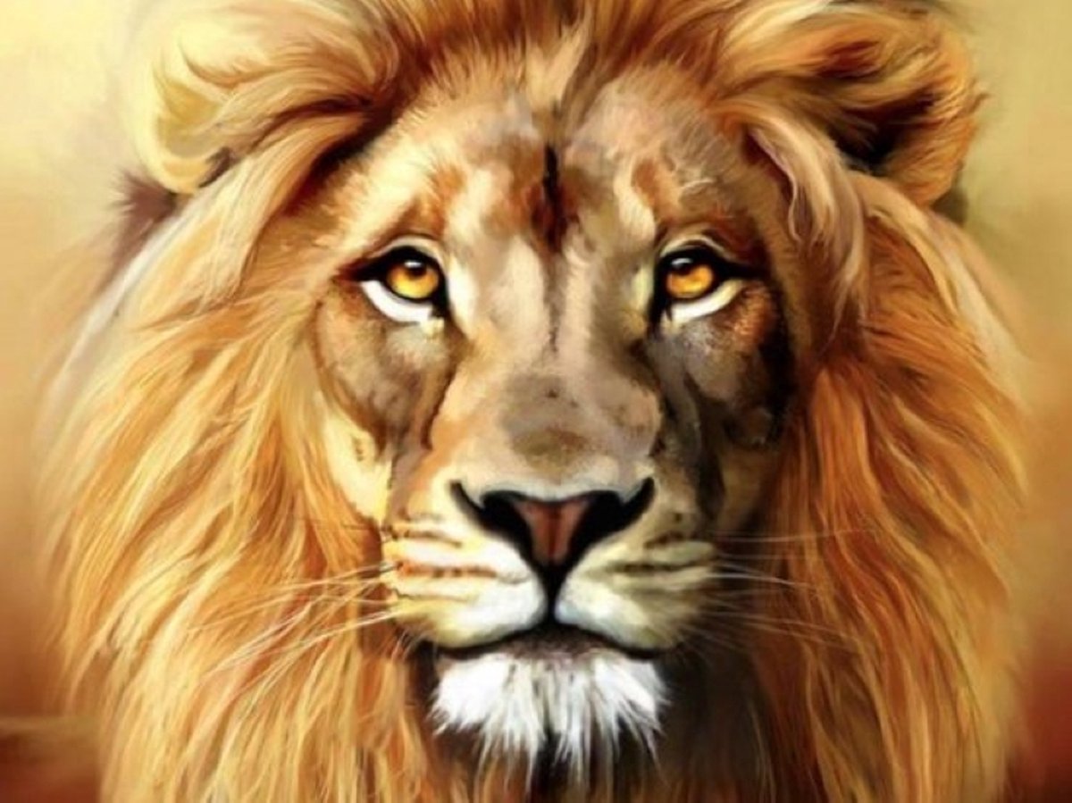 Leeuw - Leeuwenkoning - Diamond Painting - 50x40 - ronde steentjes