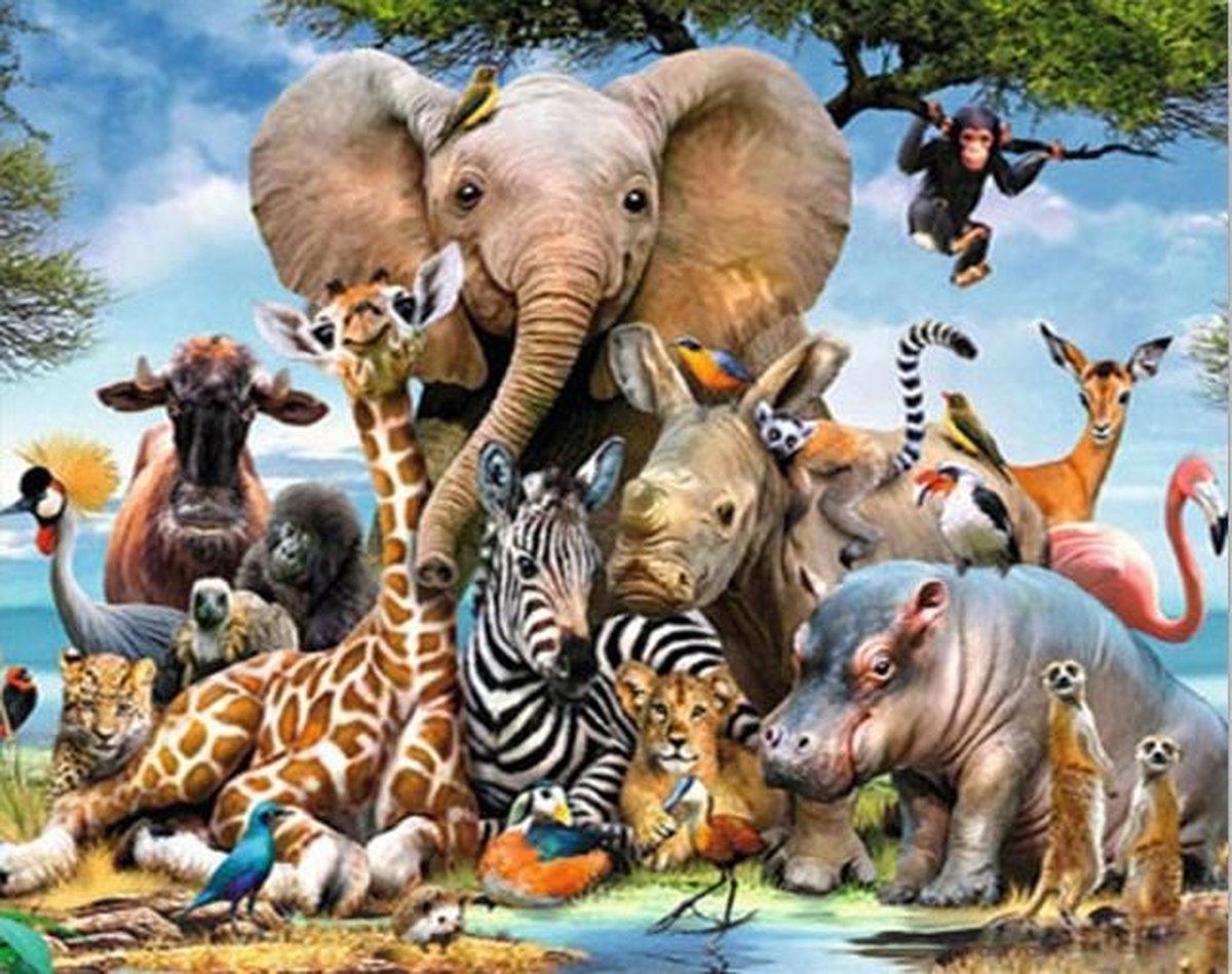Diamond Painting Dierentuin - Volledige dekking - Vierkante steentjes - Hobbypakket - 50x40 cm