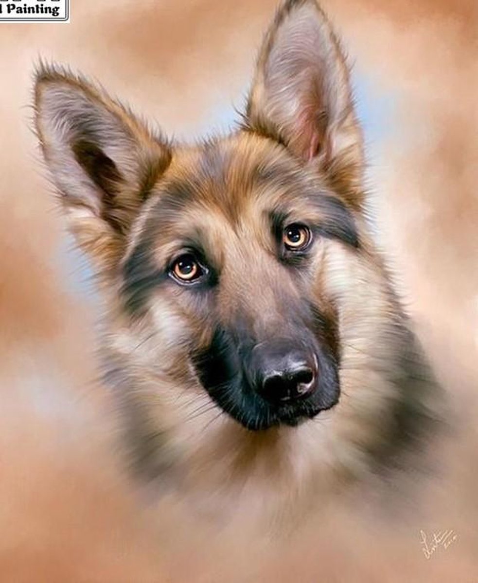 Diamond Painting Herdershond - Vierkante steentjes - Volledige dekking - Hobbypakket - 40x50 cm