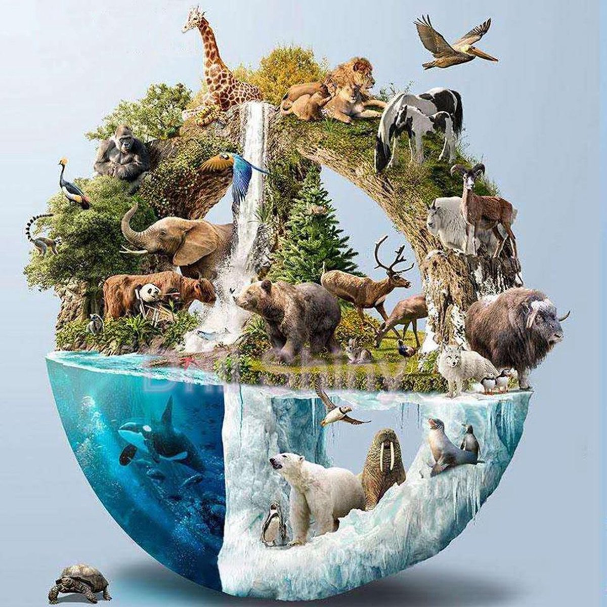 Diamond Painting Mand met Dieren - 50x50 cm - Volledig bedekt - Hobbypakket - Vierkante steentjes