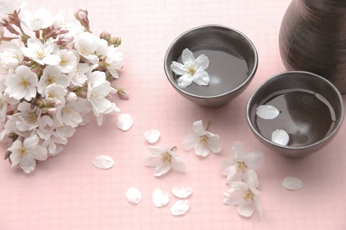 Diamond Painting Pakket - Bloesem - 40x30 cm - Complete Set - Volledige Bedekking - Dielay