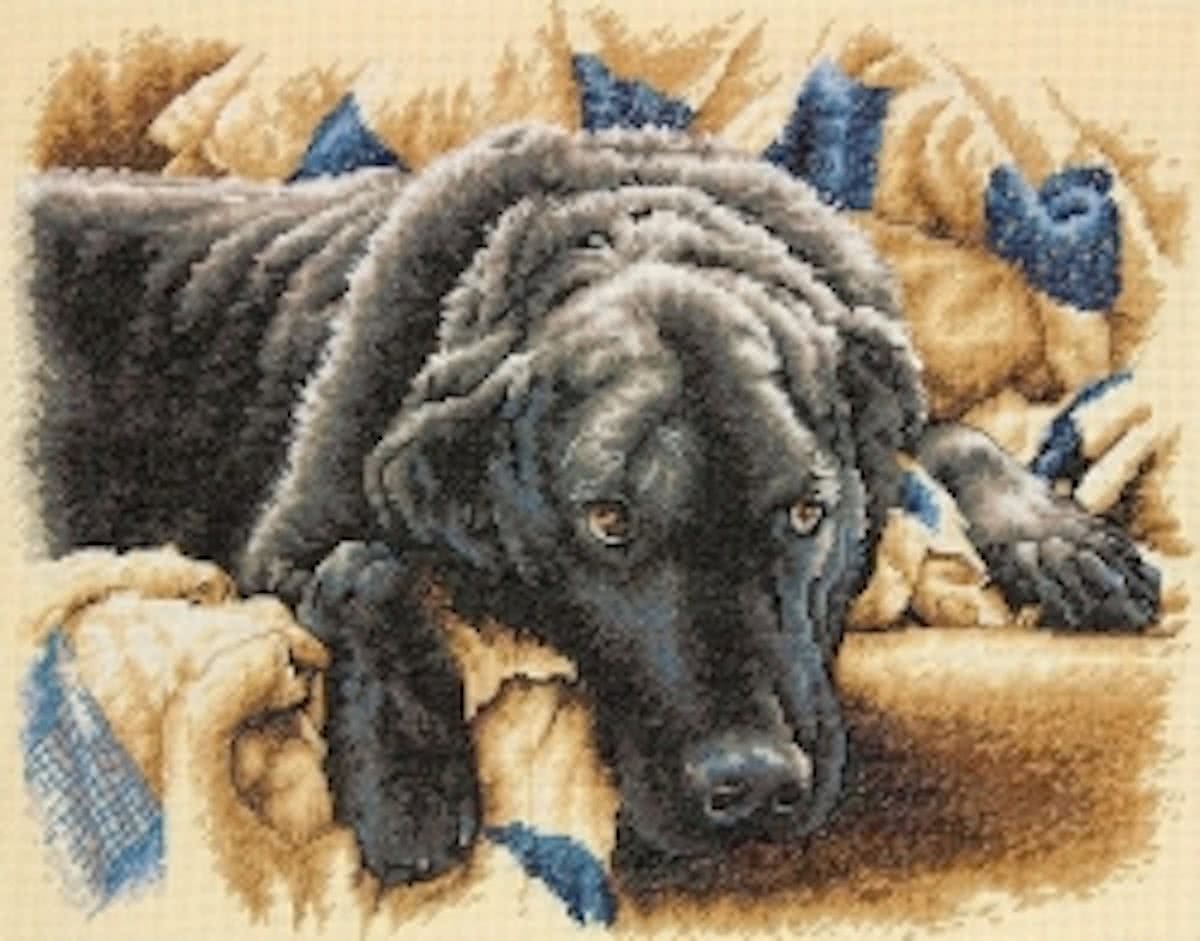 Borduurpakket Guilty Pleasures