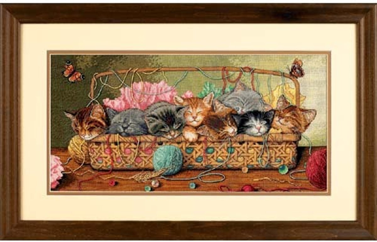 borduurpakket 35184 kittens in mand