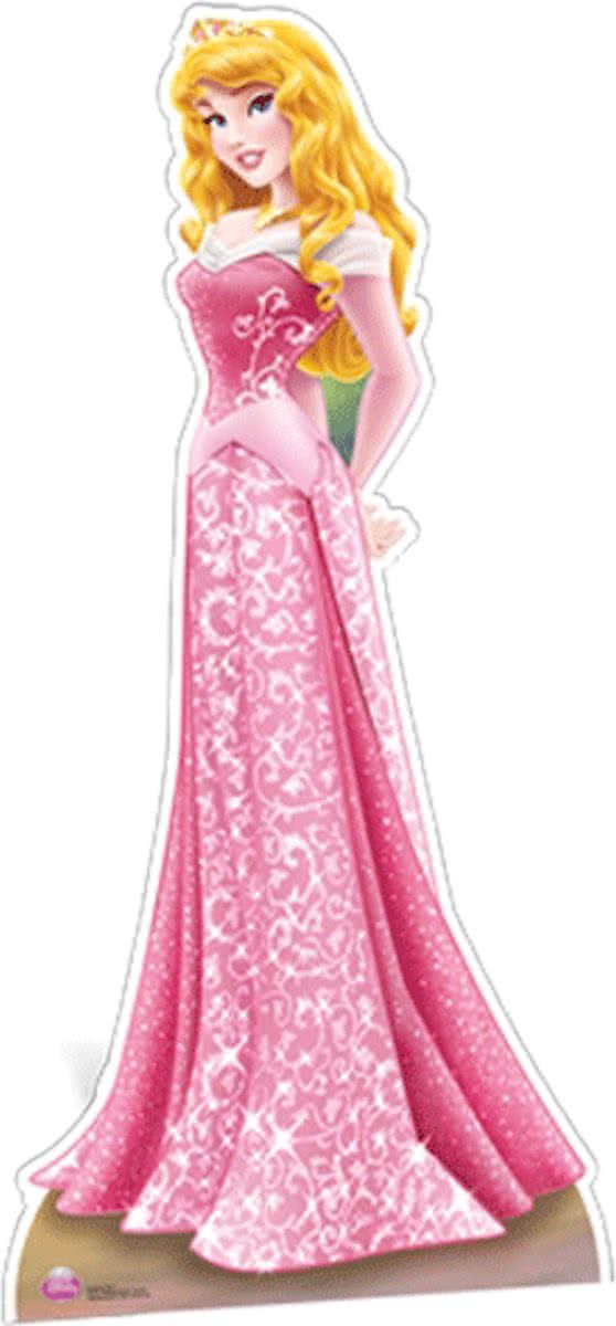 Groot decoratie bord Doornroosje