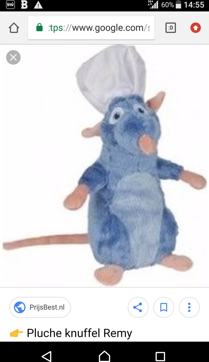 Ratatouille Remy Pluche Knuffel Groot 70 cm